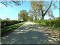 Road to Napton from Priors Marston