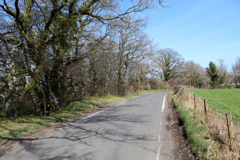 Minor road at Burnbank © Thomas Nugent :: Geograph Britain and Ireland