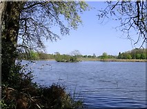 TQ1972 : View across the Upper Pen Pond, April 2020 by Stefan Czapski