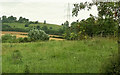 Ledwyche Brook valley