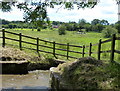 Sluice along the Shropshire Union Canal