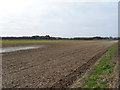 Field near Low Carr Farm