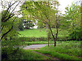 Path out of Spout Copse