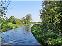 TL5161 : Quy Water from Stone Bridge by John Sutton