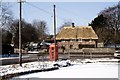 Village pond at Cliddesden in winter