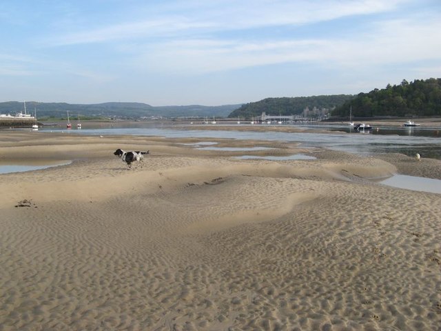 Dunes at low tide