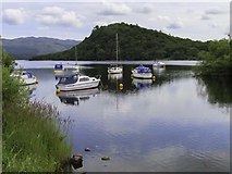 NS3691 : Loch Lomond at Aldochlay by Steve Daniels