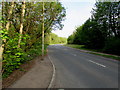 Lamppost at the end of the pavement, Llantarnam Park Way, Cwmbran