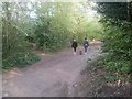 Path on Hampstead Heath Extension