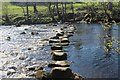 SE0559 : Stepping Stones across the River Wharfe by Chris Heaton