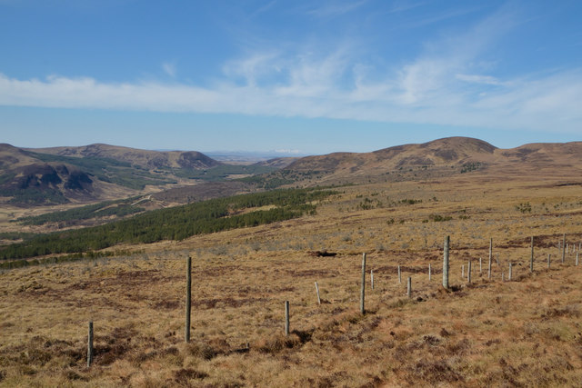 Deer Fence above Dunrobin Glen, Sutherland