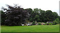 Houses south of Victoria Park, Oakenshaw