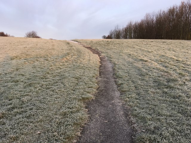 Path on the former Montague Colliery