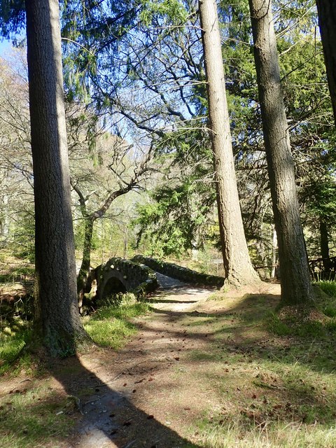 The southern end of Foley's Bridge, Tullymore Forest Park
