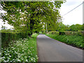 Road towards Fernhurst