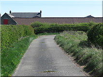 NZ3374 : Private Road to Brier Dene Farm, Whitley Bay by Geoff Holland