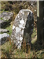 NT9105 : Old Boundary Marker by Mike Rayner