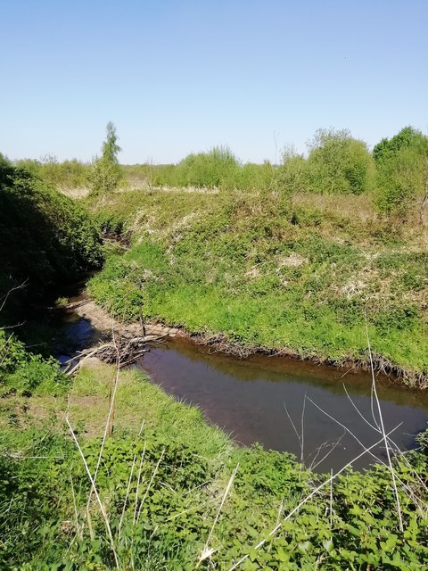Croxteth Brook near Fir Tree Drive North