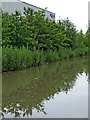 Ashby Canal and Triumph factory near Hinckley, Leicestershire