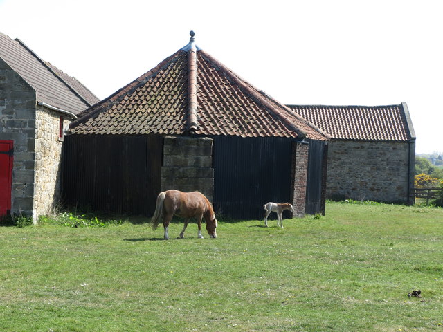Farm Buildings, Brier Dene Farm, Whitley Bay