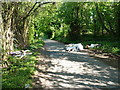 Fly-tipping on Hem Lane