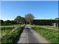 National Cycle Route 1 near Outgate Farm