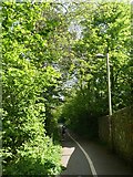 SX9293 : Even walkers need a street light; path in the Taddiforde valley by David Smith
