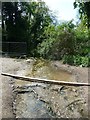 Outflow stream or drain from Tring Lake