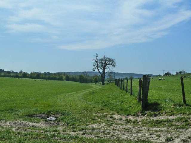 Field boundary near Little Tring