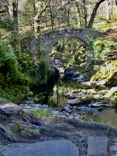 Foley's Bridge in Tollymore Forest Park © Eric Jones :: Geograph Ireland