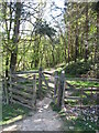 Path entering Nutwith Cote Wood