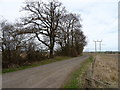 Track (footpath), Brown Moor