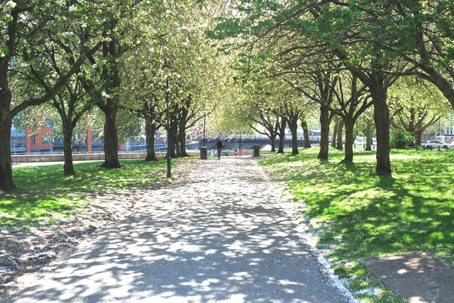 Spring Blossom © Anthony O'Neil :: Geograph Britain and Ireland