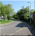ST3089 : Side road in Malpas, Newport by Jaggery