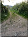 Rear track to Stibb Farm