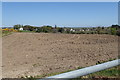 View North-eastwards across ploughed land to houses on the A50 (Castlewellan Road)