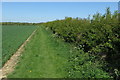 Footpath to Lower Wood