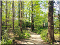 Path towards end of Rosamund Road