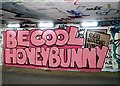 TG2208 : Be Cool Honeybunny - Grapes Hill underpass (April 2020) by Evelyn Simak