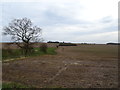 SE6766 : Fields near Wheatclose Farm by JThomas
