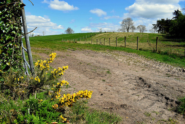 An open field, Dervaghroy © Kenneth Allen :: Geograph Ireland