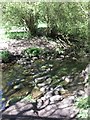 Stepping Stones Across the Seaton Burn, Holywell Dene