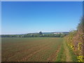 Footpath round field by Cumnor