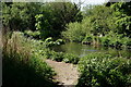 River Wandle