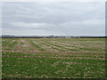 Crop field on chalky soil