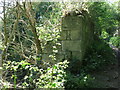 Remains of Old Wall near Hartley West Farm, Holywell Dene