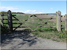 NZ3374 : Five Bar Gate near Hartley West Farm, Holywell Dene by Geoff Holland
