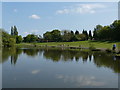 Ecology Lake in Braunstone Park