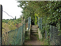 Footbridge on path from River Mole to Fieldcommon Lane