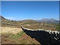 Stone wall scenery